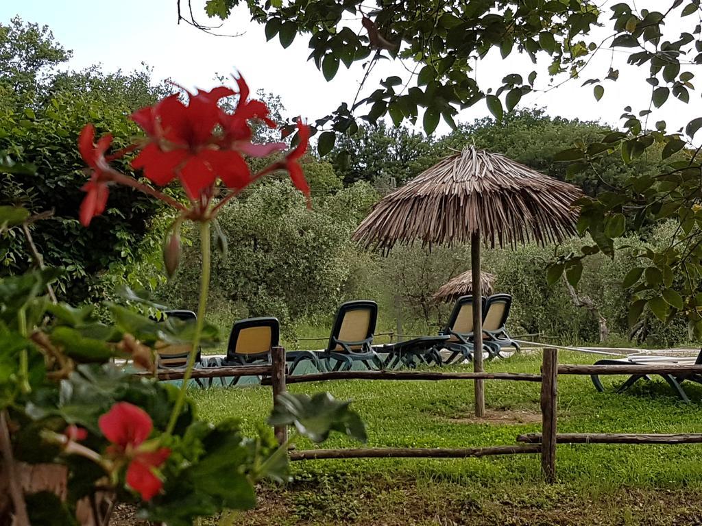 Tenuta Col Di Sasso Scarlino Exterior photo