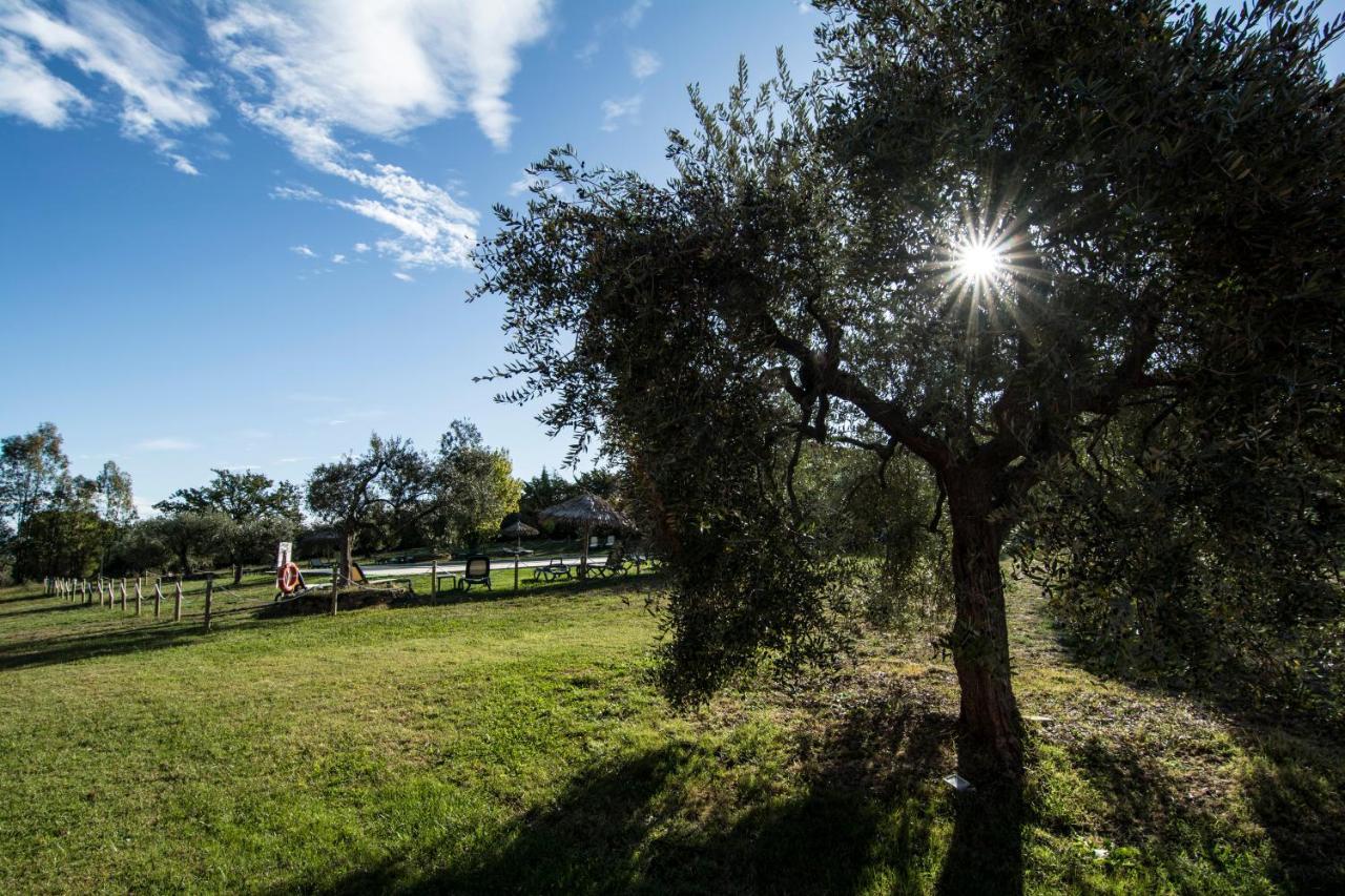 Tenuta Col Di Sasso Scarlino Exterior photo